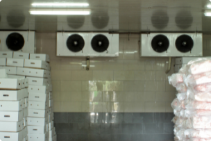Pharmaceutical Cold Storage