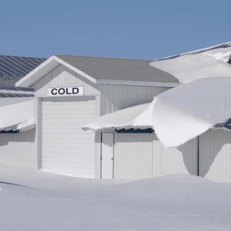 cold storage industries